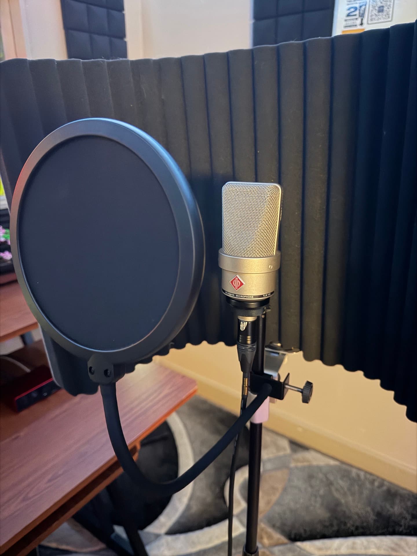 Microphone Detail
